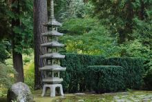 plant habit, hedge, Japanese garden