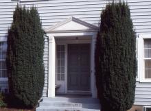 plant habit, residential landscape