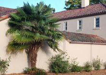 plant habit plant habit